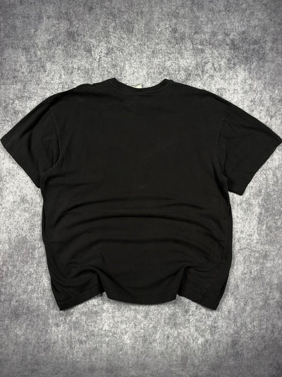 2000s REBEL CAUSE SHIRT (XL)