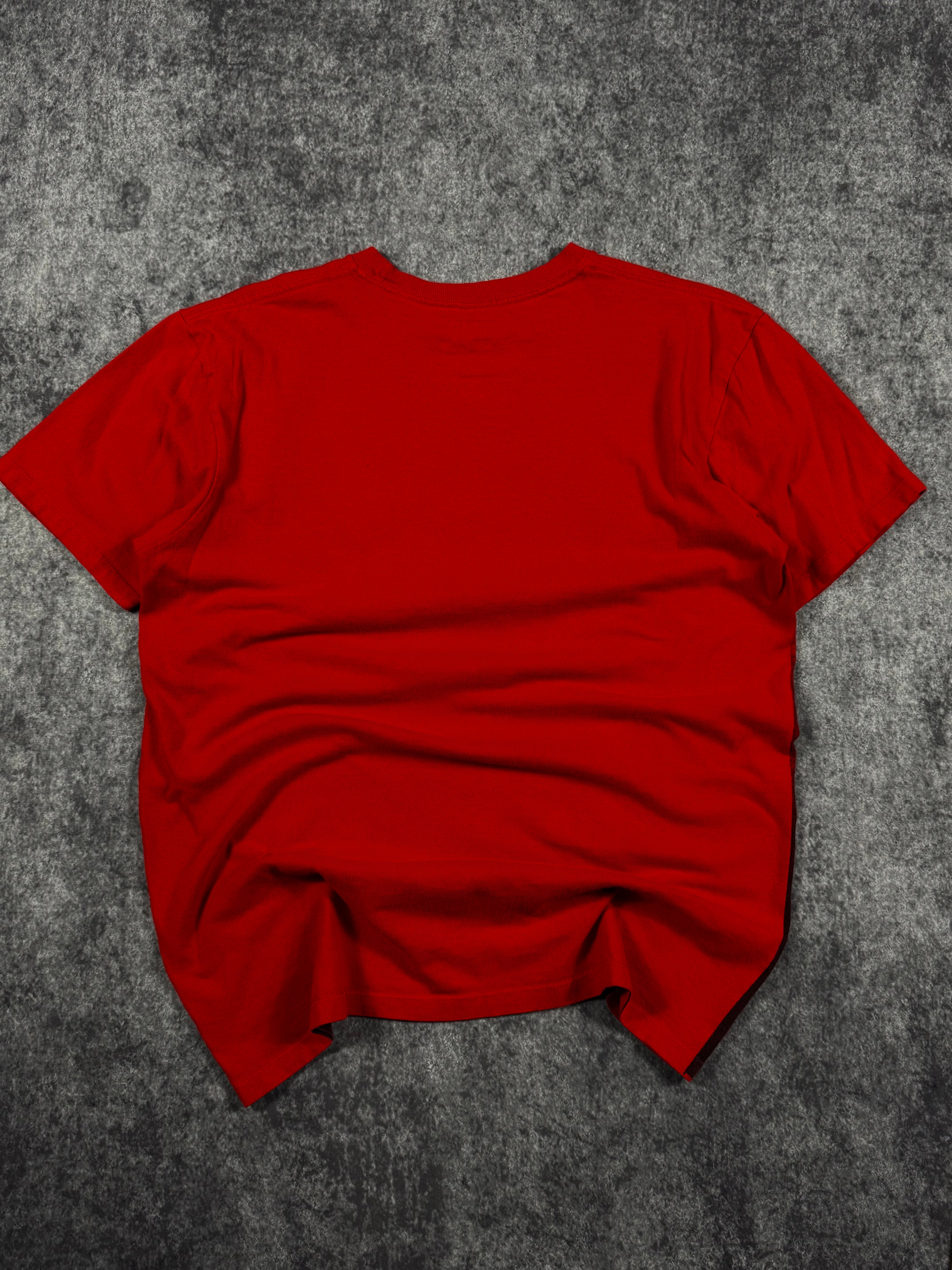 (rare) 2000s avirex shirt (M)